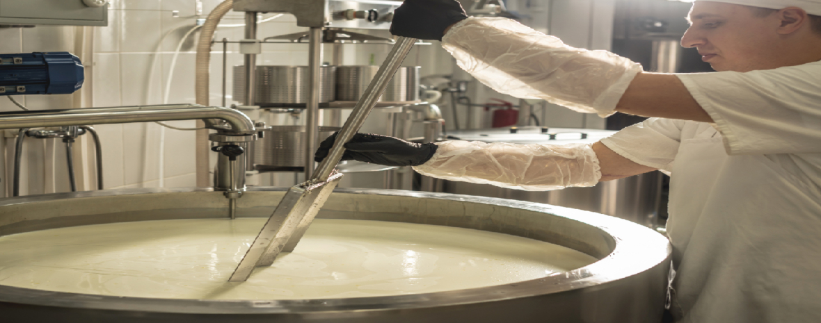 Dairy Processing Hazards and Safety Measures