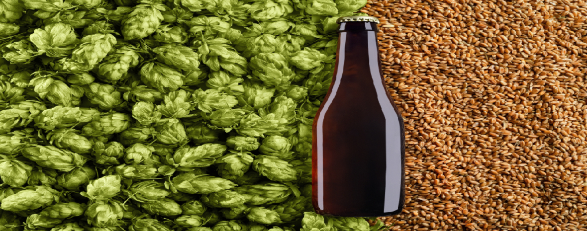 Dry Hopping Safety Measures Protect Brewery Workers