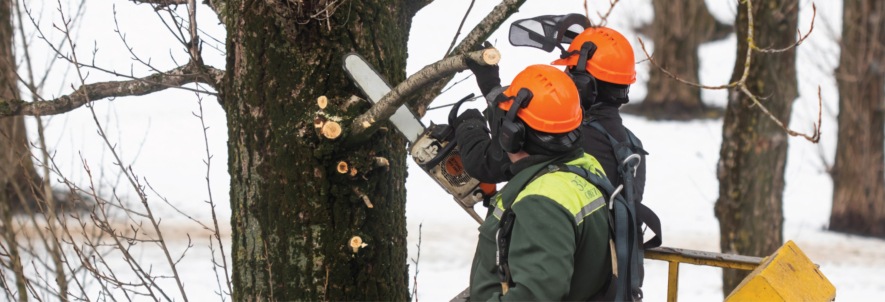 Your Guide to Cold Stress and Its Impact on Workers