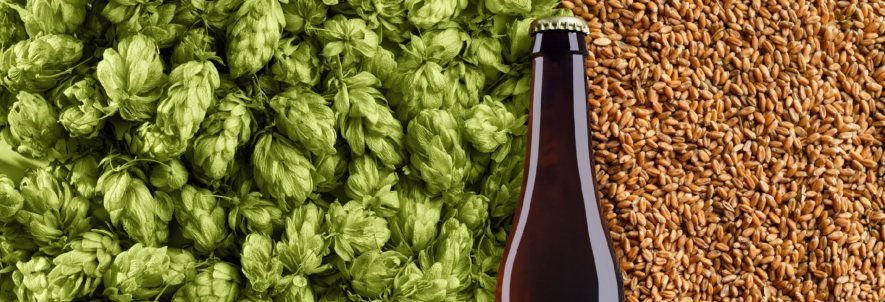 Dry Hopping Safety Measures Protect Brewery Workers