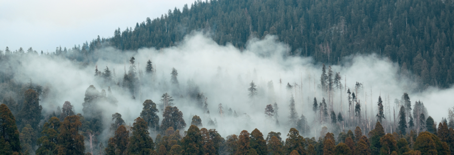 Protecting Workers from Wildfire Smoke