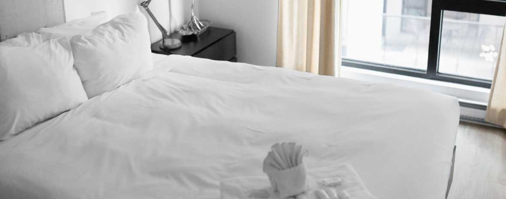 PPE for Bed Bugs Prevent Exposure During Cleanup