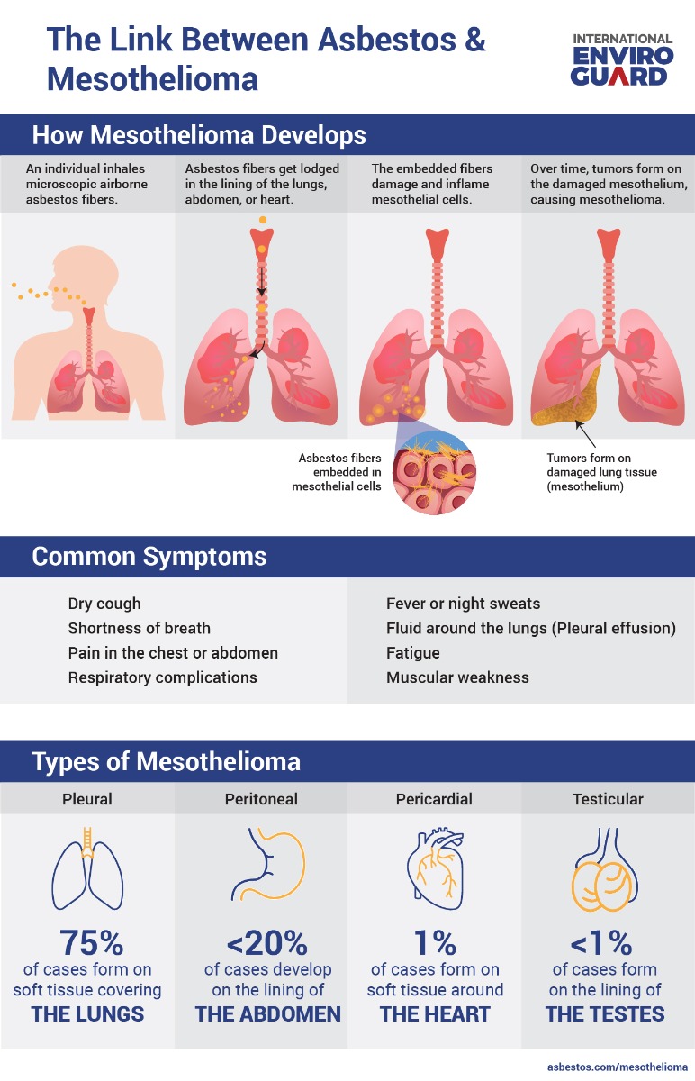 asbestos exposure symptoms