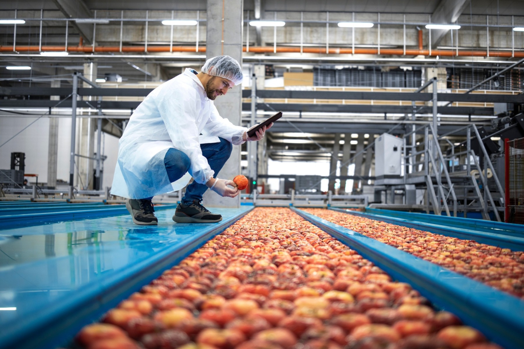 How Wearing the Proper Work Attire Improves Food Safety